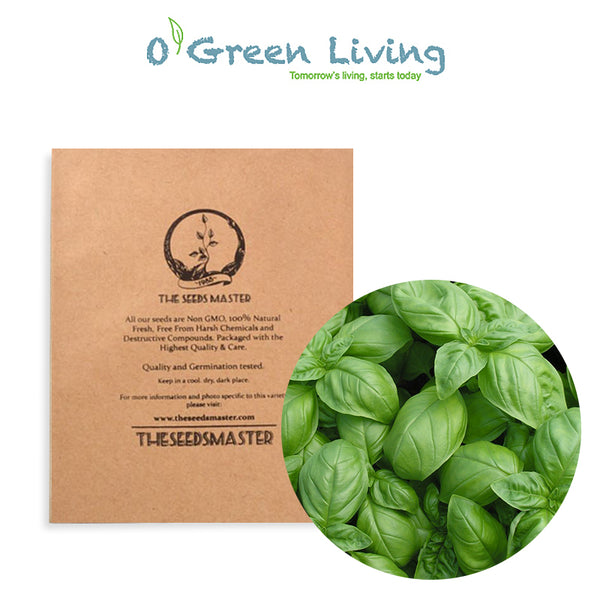 Herbs S3 Basil